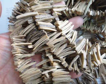Coconut chip fang beads, spike beads, Stick beads, 110 beads, about 26-28mm