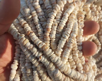 custom listing, Puka shell, 7-8mm natural tiger puka shell beads, 15.5" strand long.