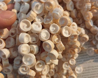 Puka shell, cut puka shell beads, cut shell supplies, 15.5 inch