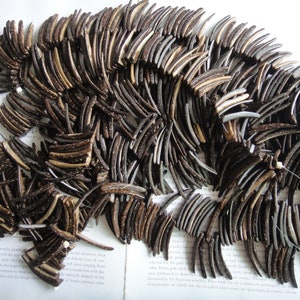 May include: A collection of dark brown, curved beads with lighter brown and white accents, strung together. The beads are arranged in a flowing, organic pattern, suggesting a necklace or other jewelry. The beads have a natural, textured appearance.