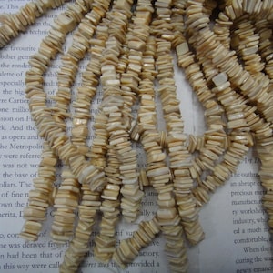 May include: A strand of cream-coloured shell beads, each bead is a rectangular shape with a slightly irregular, natural edge. The beads are strung together to form a long necklace.