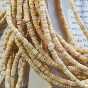 May include: A close-up of a strand of cream-colored shell beads. The beads are small and round, and they are strung together on a thin cord. The beads are arranged in a random pattern, and they are all the same size and shape.
