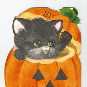 K&ouml;nnte beinhalten: Eine schwarze Katze mit gr&uuml;nen Augen schaut aus einem orangefarbenen K&uuml;rbis mit einem geschnitzten Jack-o'-Lantern-Gesicht. Der K&uuml;rbis hat einen gr&uuml;nen Stiel und die Katze sagt "Hallo!"