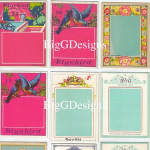 Puede incluir: Nueve tarjetas de botones vintage con diferentes diseños. Las tarjetas son todas rectangulares y tienen un fondo blanco. La tarjeta superior presenta un pájaro azul con el texto "Bluebird Pearl Buttons" y el número "36". La segunda tarjeta presenta un pájaro azul con el texto "Bluebird Pearl Buttons" y el número "14". La tercera tarjeta presenta un diseño floral con el texto "Made in U.S.A.". La cuarta tarjeta presenta un diseño floral con el texto "Muscatine Iowa" y "The World's Biggest Button Market". La quinta tarjeta presenta un diseño floral con el texto "Muscatine Iowa" y "The World's Biggest Button Market". La sexta tarjeta presenta un diseño floral con el texto "Care Patented April 17, 1918". La séptima tarjeta presenta un diseño floral con el texto "Made in U.S.A.". La octava tarjeta presenta un diseño floral con el texto "Muscatine Iowa" and "The World's Biggest Button Market". La novena tarjeta presenta un diseño floral con el texto "Muscatine Iowa" and "The World's Biggest Button Market".