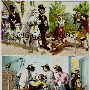Tre cartoline vintage divertenti e umoristiche con gatti antropomorfi, matrimonio, sposa e sposo, dentista, download digitale, stampabile, immagine istantanea, clip art
