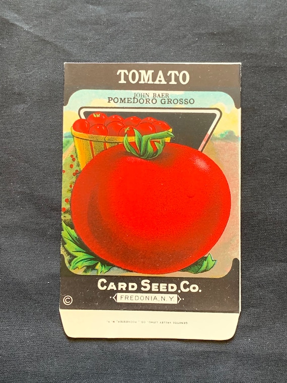 094 Grosso John Baer TOMATO Antique Seed Packet Card Seed Country Store