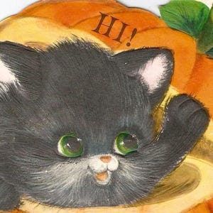 K&ouml;nnte beinhalten: Eine schwarze Katze mit wei&szlig;en Markierungen schaut aus einem K&uuml;rbis mit dem Wort "HI!" darauf.