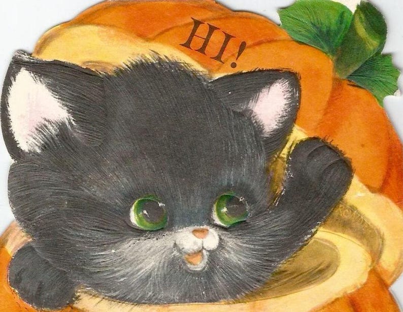 K&ouml;nnte beinhalten: Eine schwarze Katze mit wei&szlig;en Markierungen schaut aus einem K&uuml;rbis mit dem Wort "HI!" darauf.
