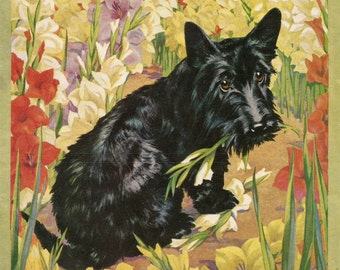 Vintage magazine cover illustration black Scottie dog in flower garden