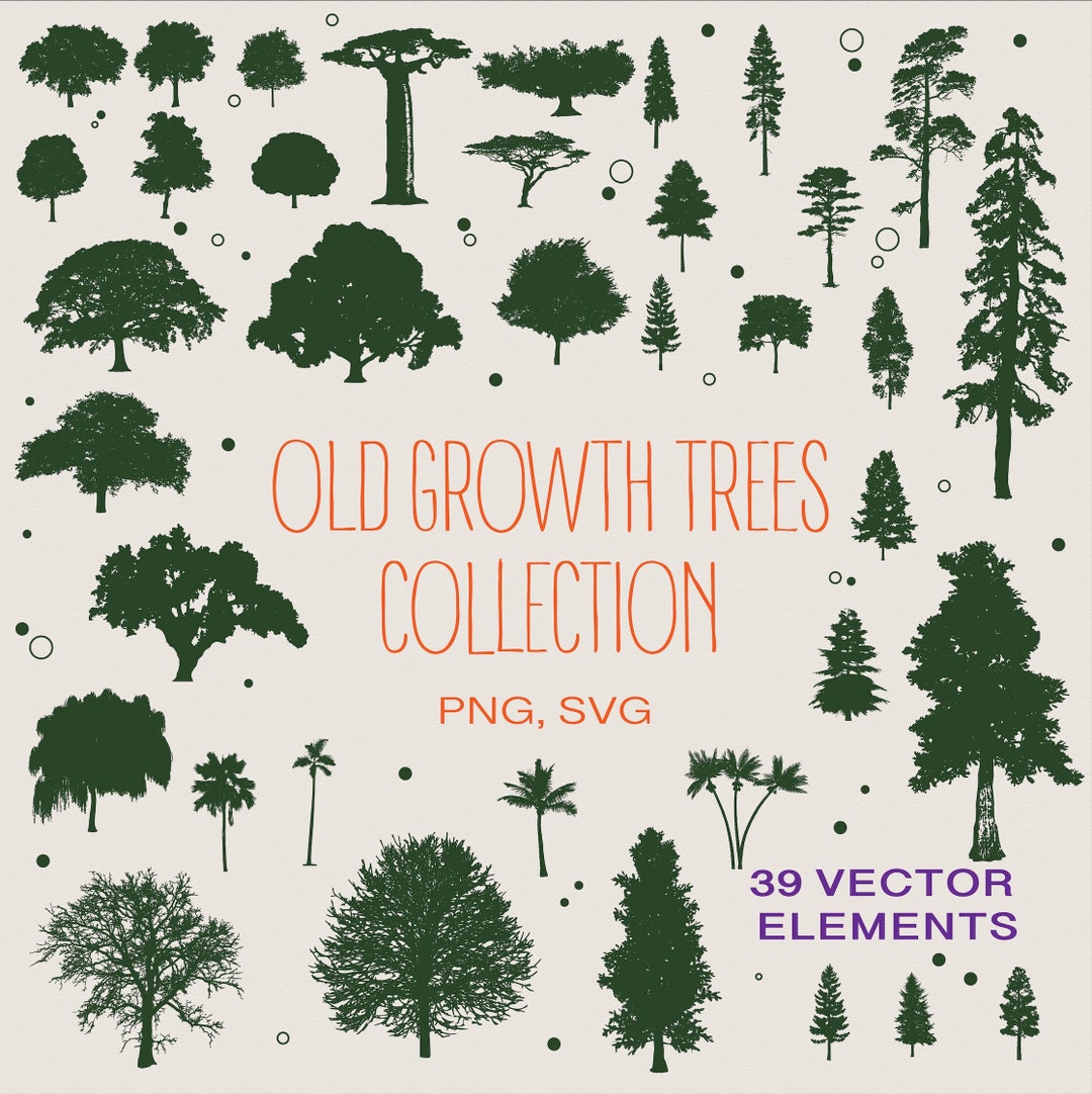 Tree SVG & Forest PNG SVG Files for Cricut / Silhouette Cut File and ...