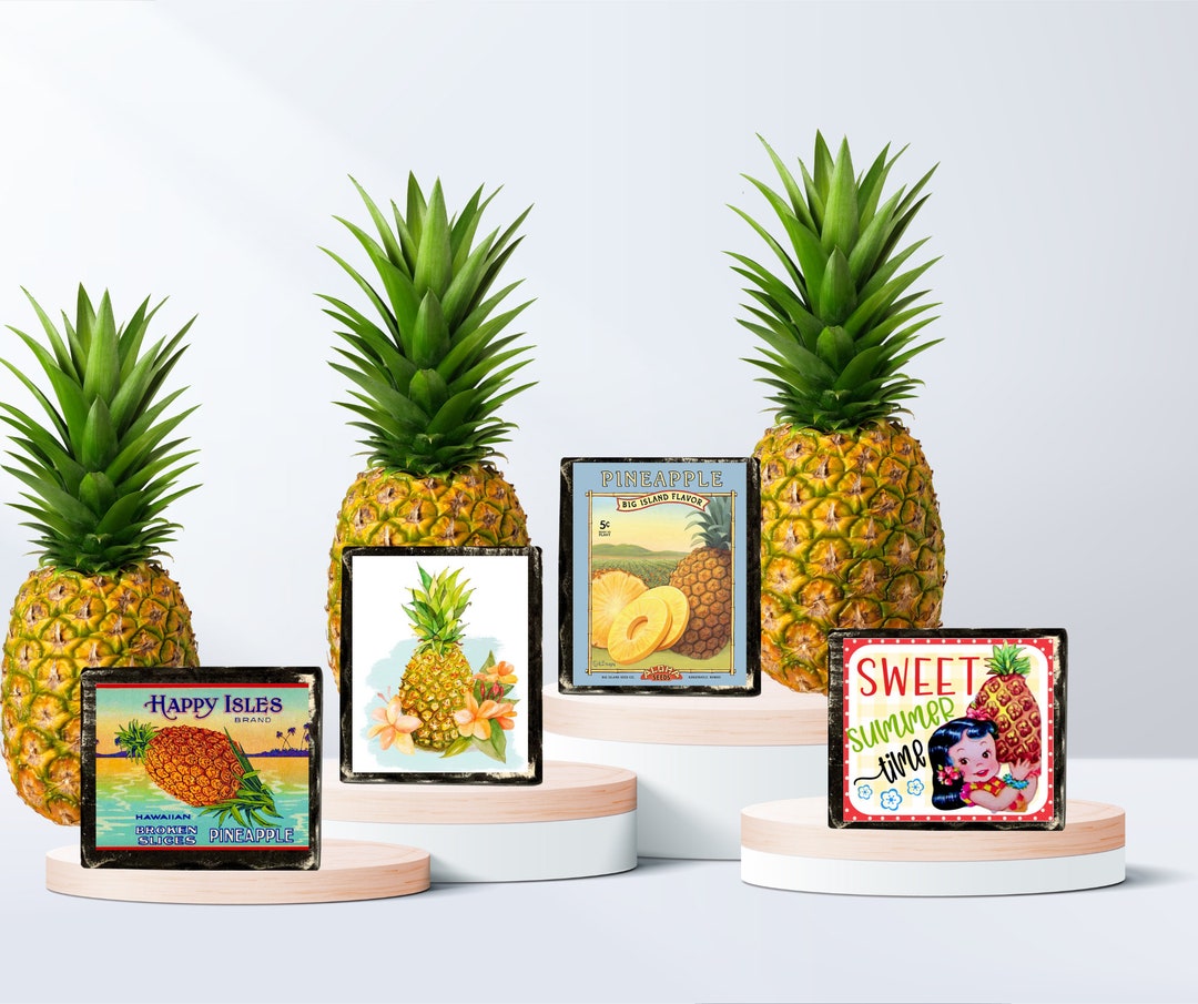 Vintage Pineapple Decor/ Sign, Pineapple Tiered Tray, Pineapple Gift Etsy