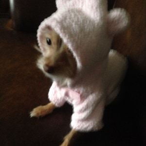 Pink bear costume