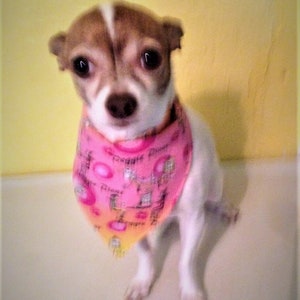 Pet Scarves
