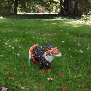 Witch Costume Size Small