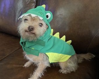 Pet Dinosaur Costume-size small