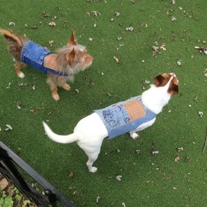 Recycled Blue Jean Pet Outfits