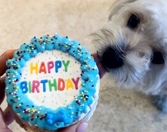 May include: A white dog with a blue and white frosted cake that says "Happy Birthday" in rainbow letters.