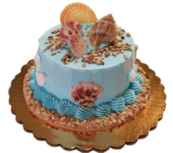 Buy Fake Cake Prop Online in India 