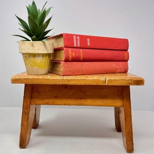 May include: A small, wooden, rectangular stool with four legs. Three red books are stacked on top, with the titles visible. A small, yellow and beige pot with a green plant sits on the left side of the stool.