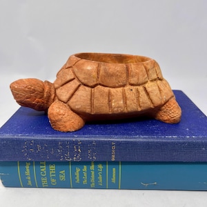 Puede incluir: Una maceta con forma de tortuga de color terracota. La tortuga tiene un caparazón, cabeza y patas detalladas. La maceta está colocada encima de dos libros azules. Los libros tienen el título "THE CALL OF THE SEA".