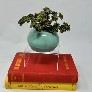 Puede incluir: Una pequeña maceta redonda de cerámica turquesa con una planta suculenta encima, exhibida sobre un soporte acrílico transparente. El soporte descansa sobre dos libros antiguos: "Beautiful Joe" y "Mr. Moto's Three Aces."