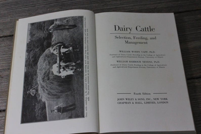 Dairy Cattle Seection Feeding And Management Published 1955 By Yapp And Nivens Vintage Book Cattle Dairy Agriculture Textbook - 