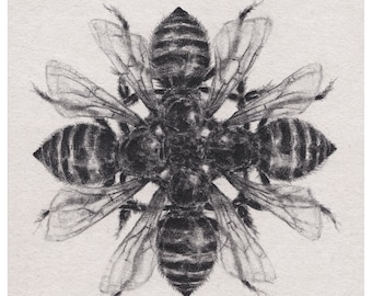 Print (4x4 or 8x8 inches) beebeebeebee