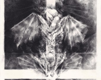 Original graphite drawing (6x6 inches) crux ascending