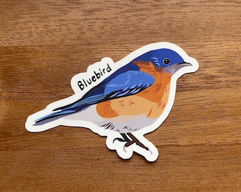 May include: A sticker featuring a bluebird illustration. The bird has blue wings and head, an orange breast, and a white belly. The word "Bluebird" is written in black script on the sticker. The sticker is on a wooden surface.