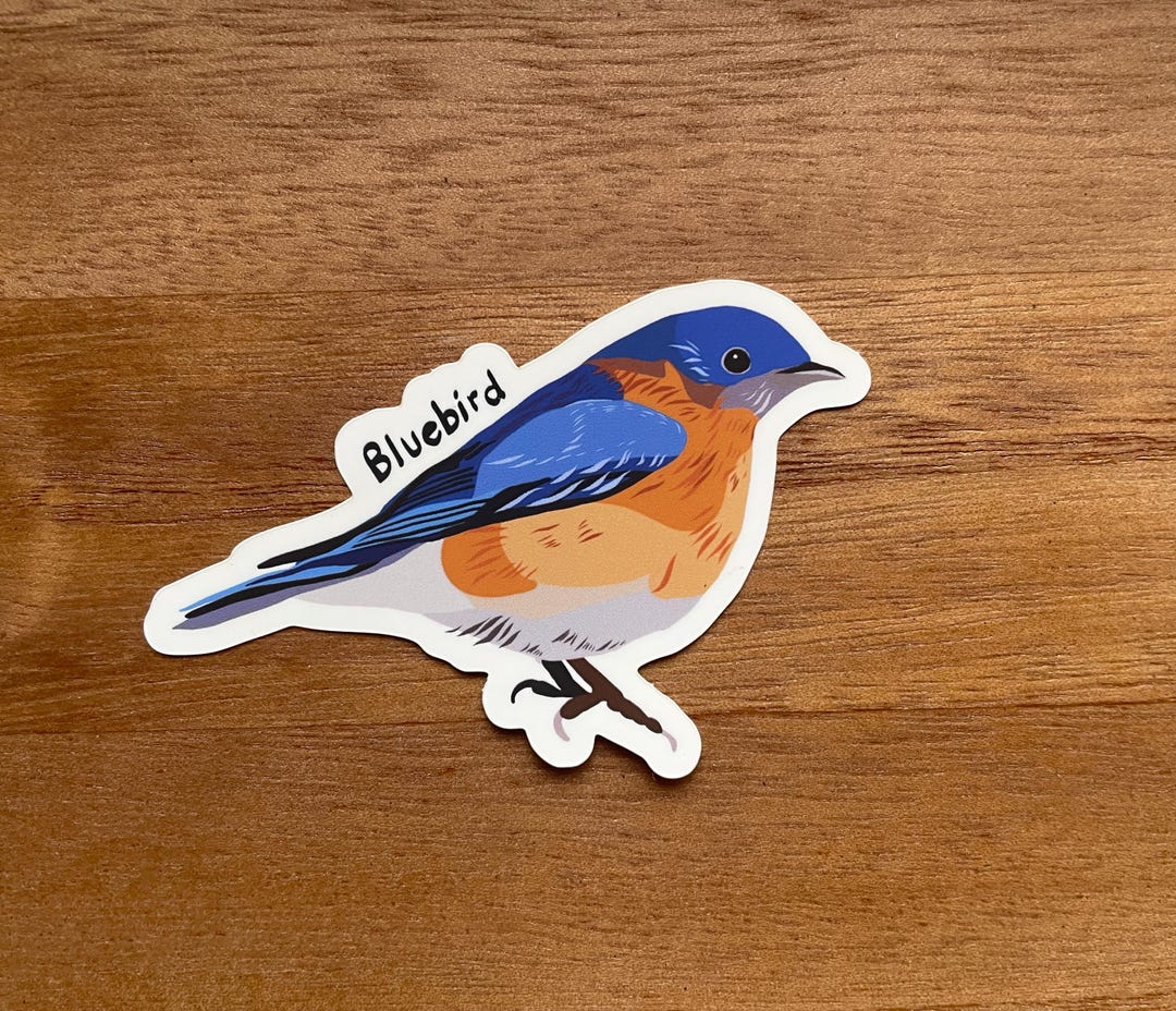 Bluebird Vinyl Sticker - Etsy