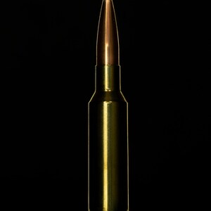 Bullet