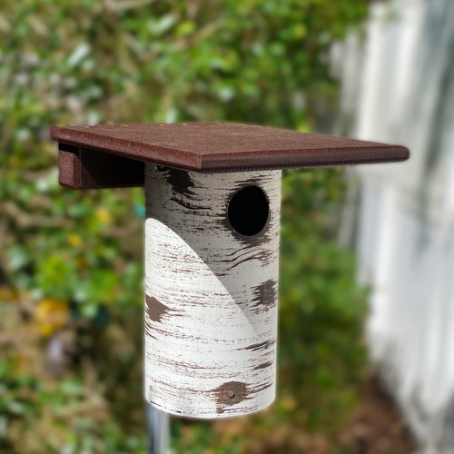 Gilbertson Bluebird House, Amish Handmade Bird Nest Box, Pole Mount Poly Top