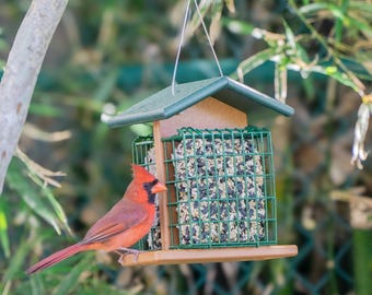 Hanging Double Suet Feeder, Covered Roof, Perches - 2 Cage Bird Seed Block Cake Holder - Made from Poly Lumber - USA Amish Made