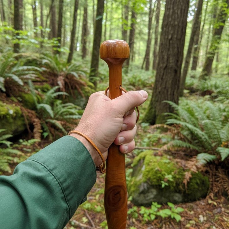 May include: A wooden walking stick with a rounded handle and a leather loop. The stick is held in a hand, with a forest background of trees and ferns.