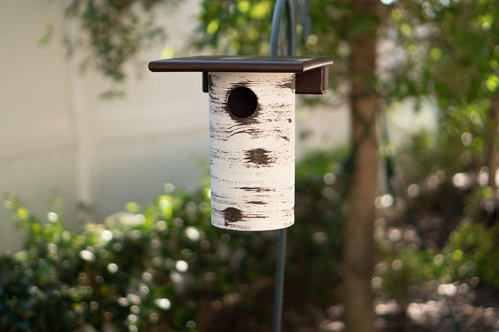 DutchCrafters Gilbertson Bluebird House Outdoor Nest Box | Etsy