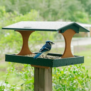 May include: A green and brown bird feeder with a pitched roof, supported by brown, hourglass-shaped supports. A blue jay perches on the feeder, which is filled with seeds. The feeder is mounted on a wooden post, with green foliage in the background.