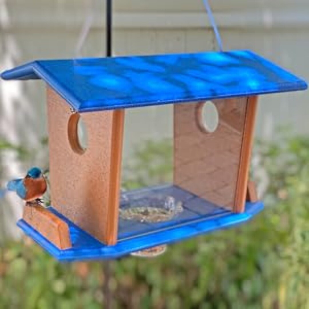Dutchcrafters Amish Made Hanging Bluebird Mealworm Feeder With Drop Cup