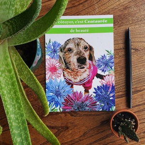 Carte de vœux Fleurs Centaurées, carte de souhait 5x7 pouces, St-Valentin, animaux, carte de chien, champêtre, pour amie
