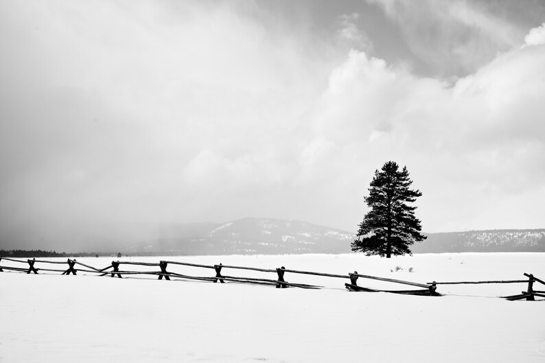 Nature Photography Print, Landscape Photo, Nature Wall Art, Black and White, B&W, Winter Photograph, Outdoor Picture image 1