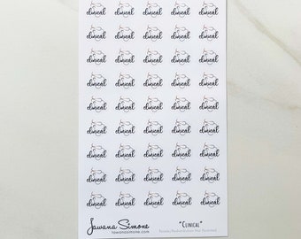 Clinical Planner Sticker Sheets, Nurse Planner Sticker for Any Size Planners, Journals or Notebooks