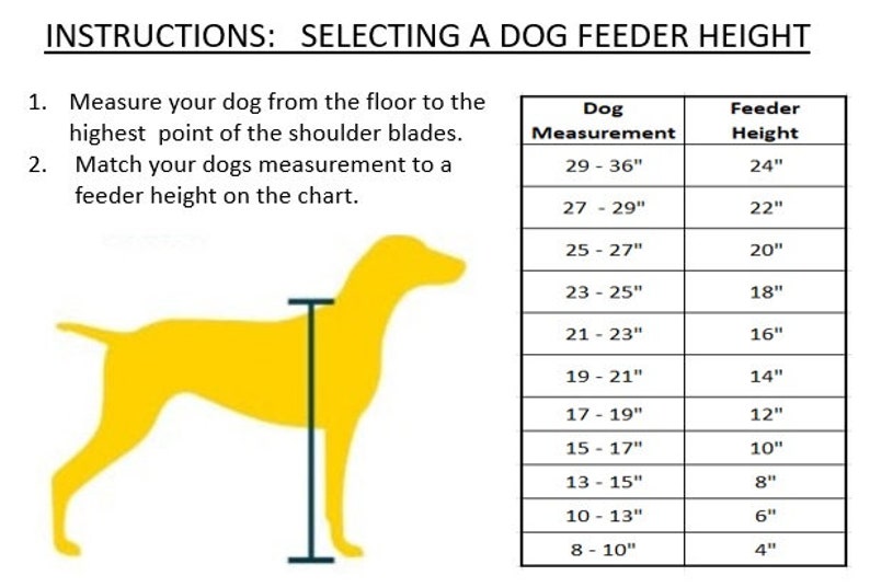 dog feeder height
