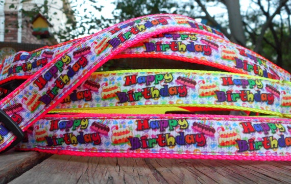 Birthday Bash Dog Collar Or Leash Light Up The Party W Led Etsy
