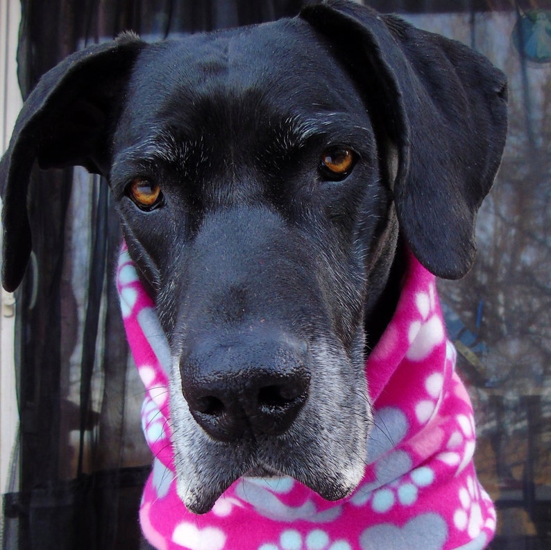 Fleece dog neck warmer scarf snood gaiter collar cover Etsy