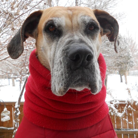 Grand Chien Snood Col Polaire Et Chauffe Oreilles Grand Etsy France