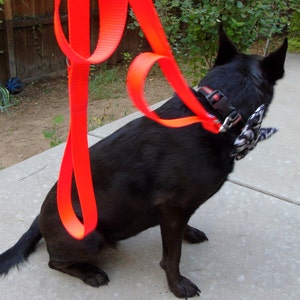 loops 2 double handle dog leash