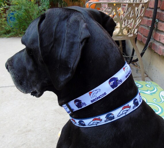 broncos dog collar