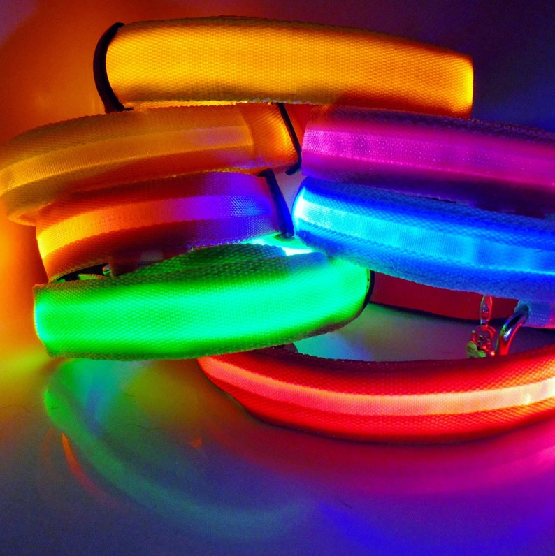 Light up LED Dog Collar Pink Green Yellow Orange Red or Etsy