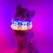 Glow cat collar; small LED safety light lights up in dark & flashes; break-away collars; Choose favorite color, design, pattern or style 