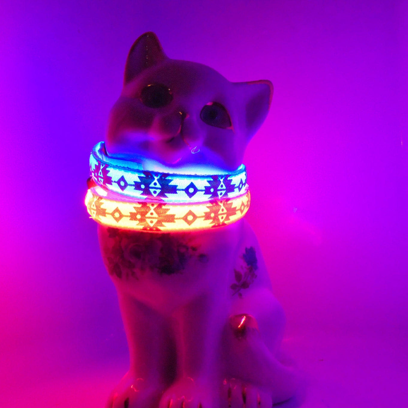 glow in the dark cat collar