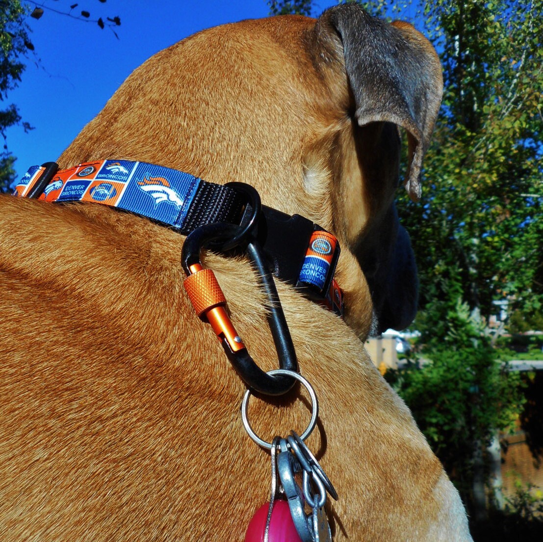 Big dog locking carabiner clip attach ID tags leash prong Etsy